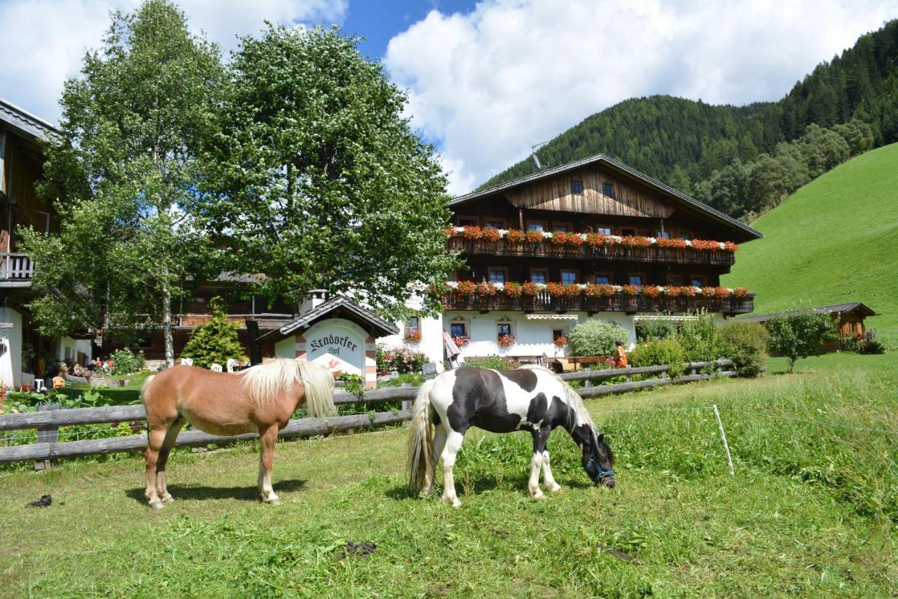 Kradorferhof Apartment *